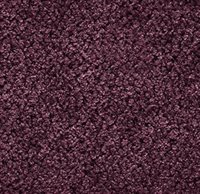 Perky amaranth 020
